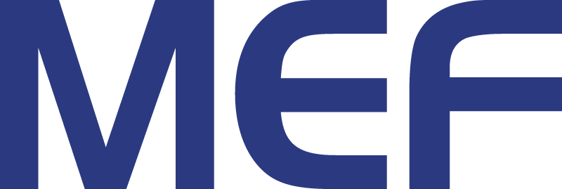 NGNI, FFF 2017, Supporter, Logo, MEF