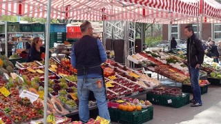 DPS, Projekt: EfA-Studie / EfA-Marktplatz