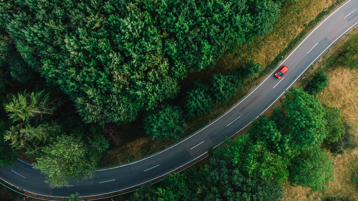 aerial view of a road with a curve at a forest