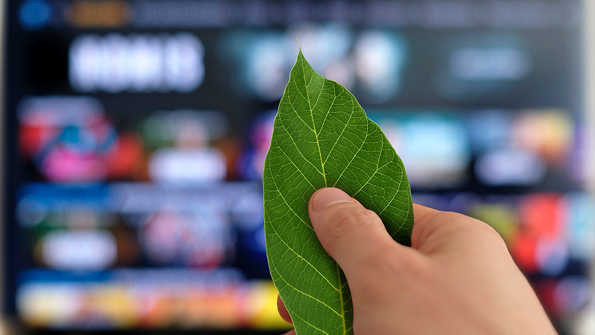 FAME, News, Greenstreaming, Blatt, Fernbedienung Hand that uses a leaf instead of a remote in front of a TV