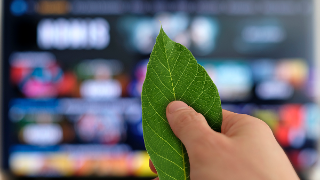 Hand that uses a leaf instead of a remote in front of a TV
