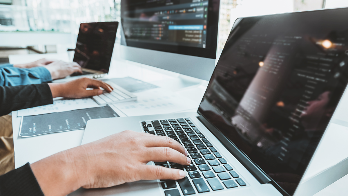 SQC, News: Fuzzing, Computer Developing programmer working in software company office