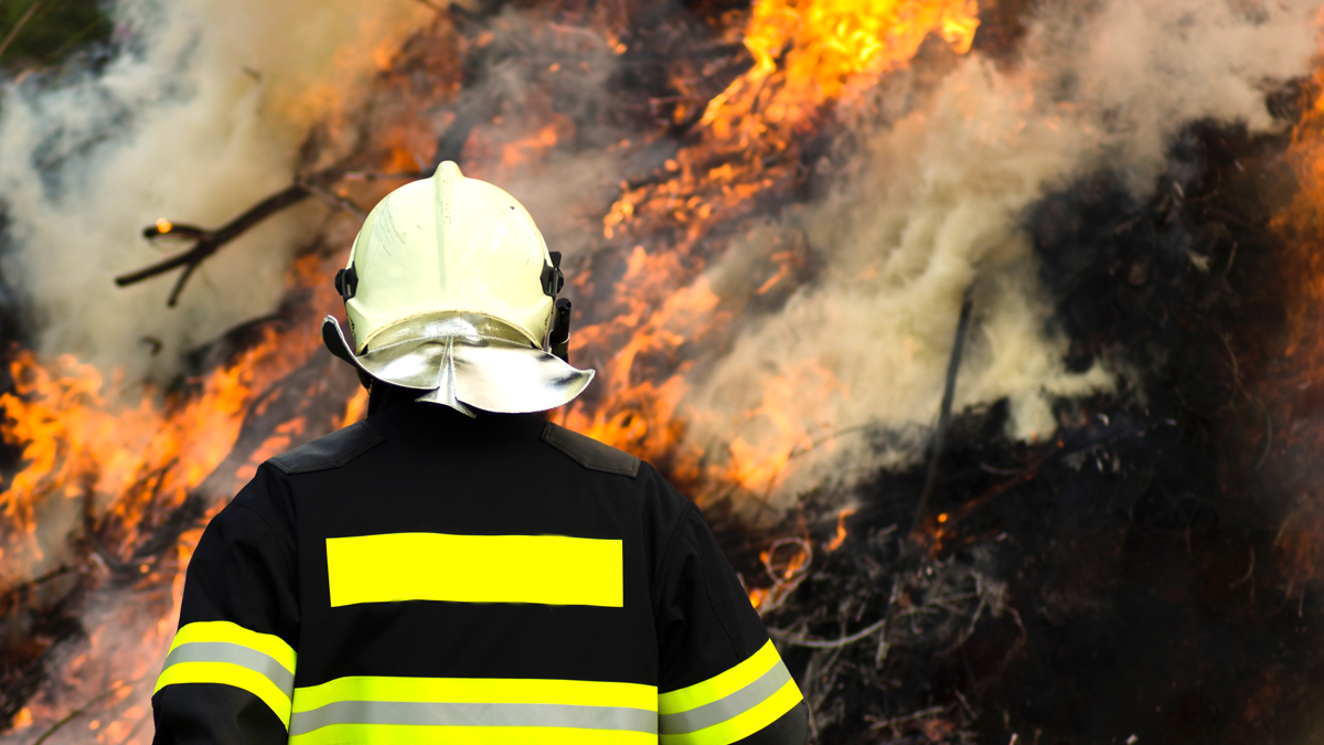 NGNI, News: Aladin, Waldbrandbekämpfung Feuerwehrmann auf dem Rücken von Waldbrand und Rauch, Rückansicht