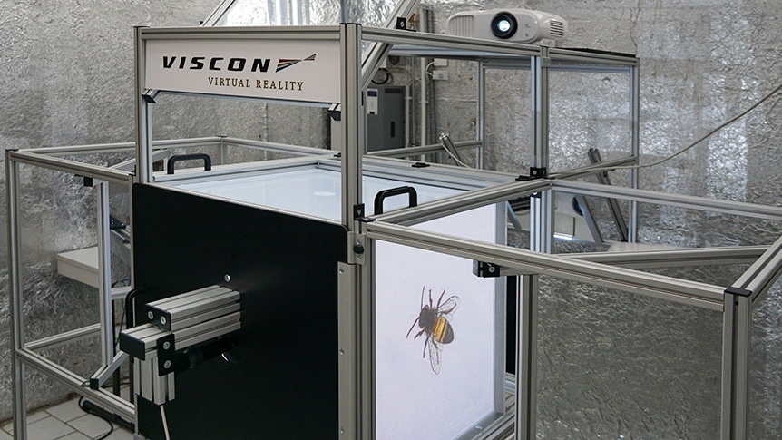 VISCON BienenCAVE