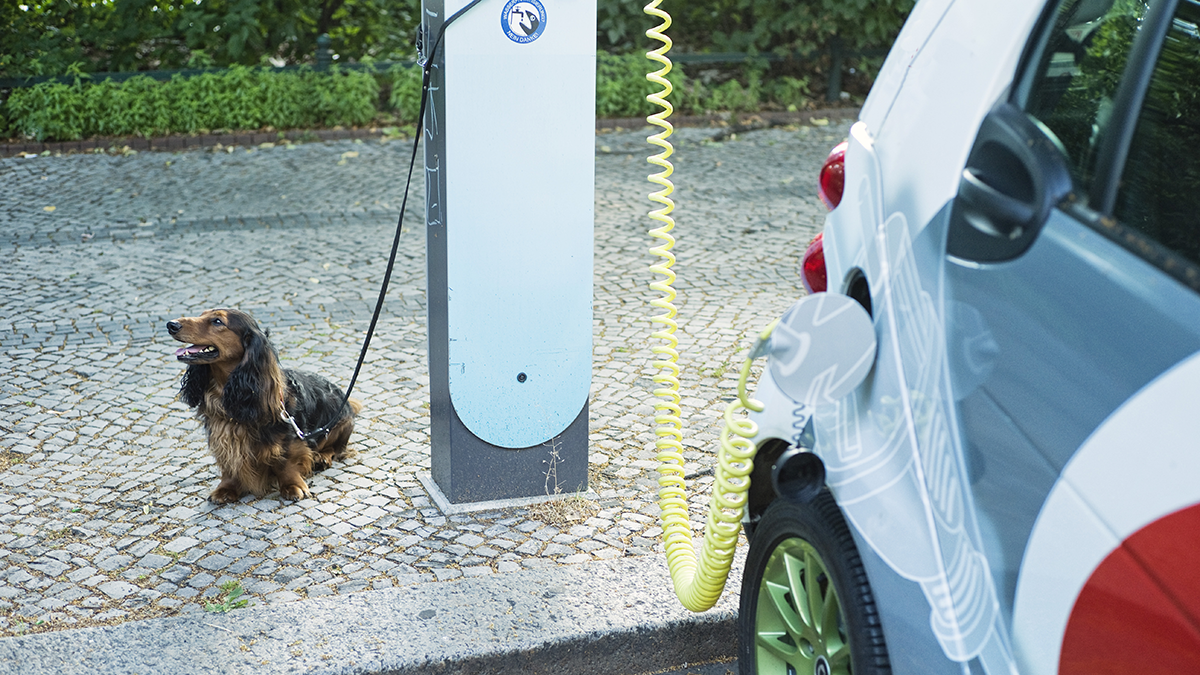 ASCT, Themen: Smart Mobility, Elektromobilität Ein kleiner Hund ist an einer Elektroladeschäule angeleint, an der auch ein E-Auto gelanden wird.
