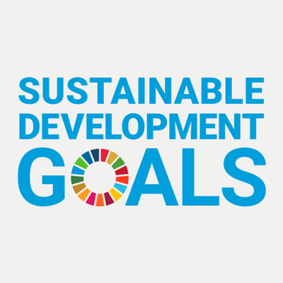 Sustainable Development Goals More Information
