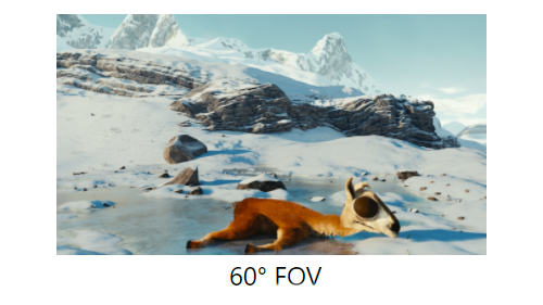 360° on TV visible area (FOV) 60°