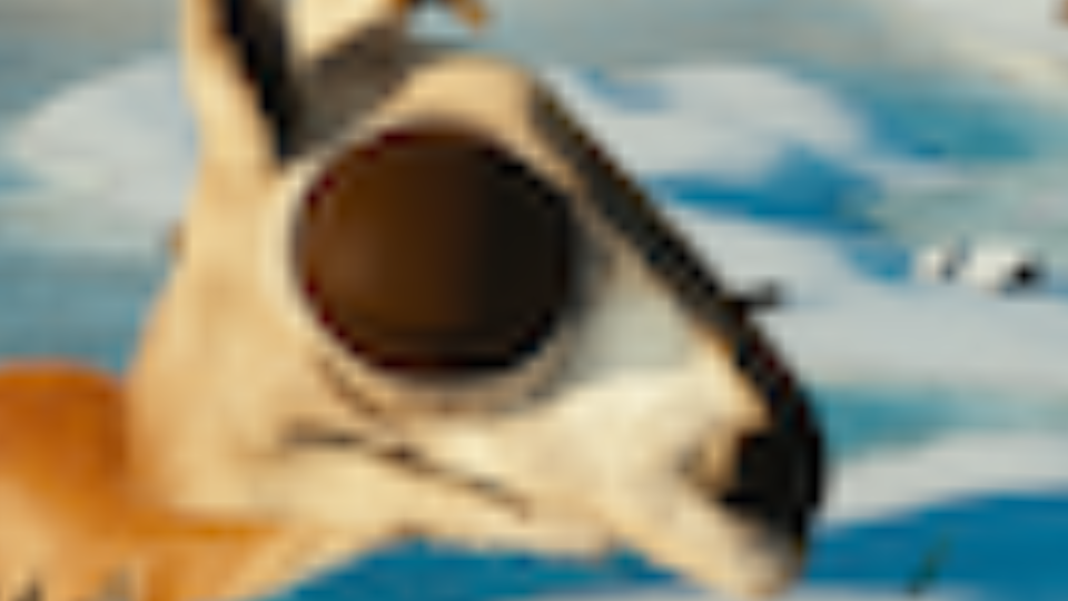 14° FOV Frame generated from 2K Equirect Frame